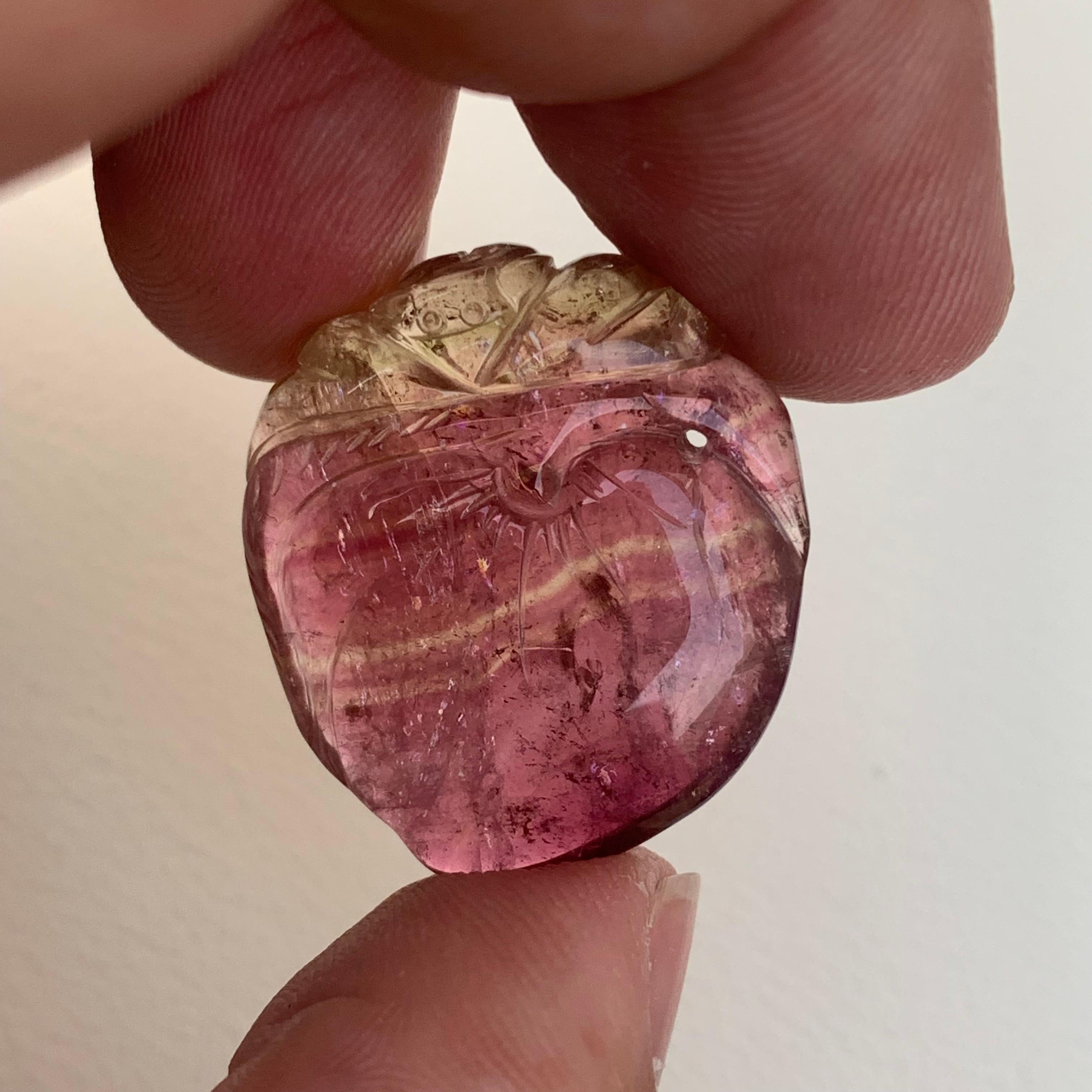 Malagasy Incredible Loose 31.00 Carat Bi Color Tourmaline Drilled Craving from Africa For Sale