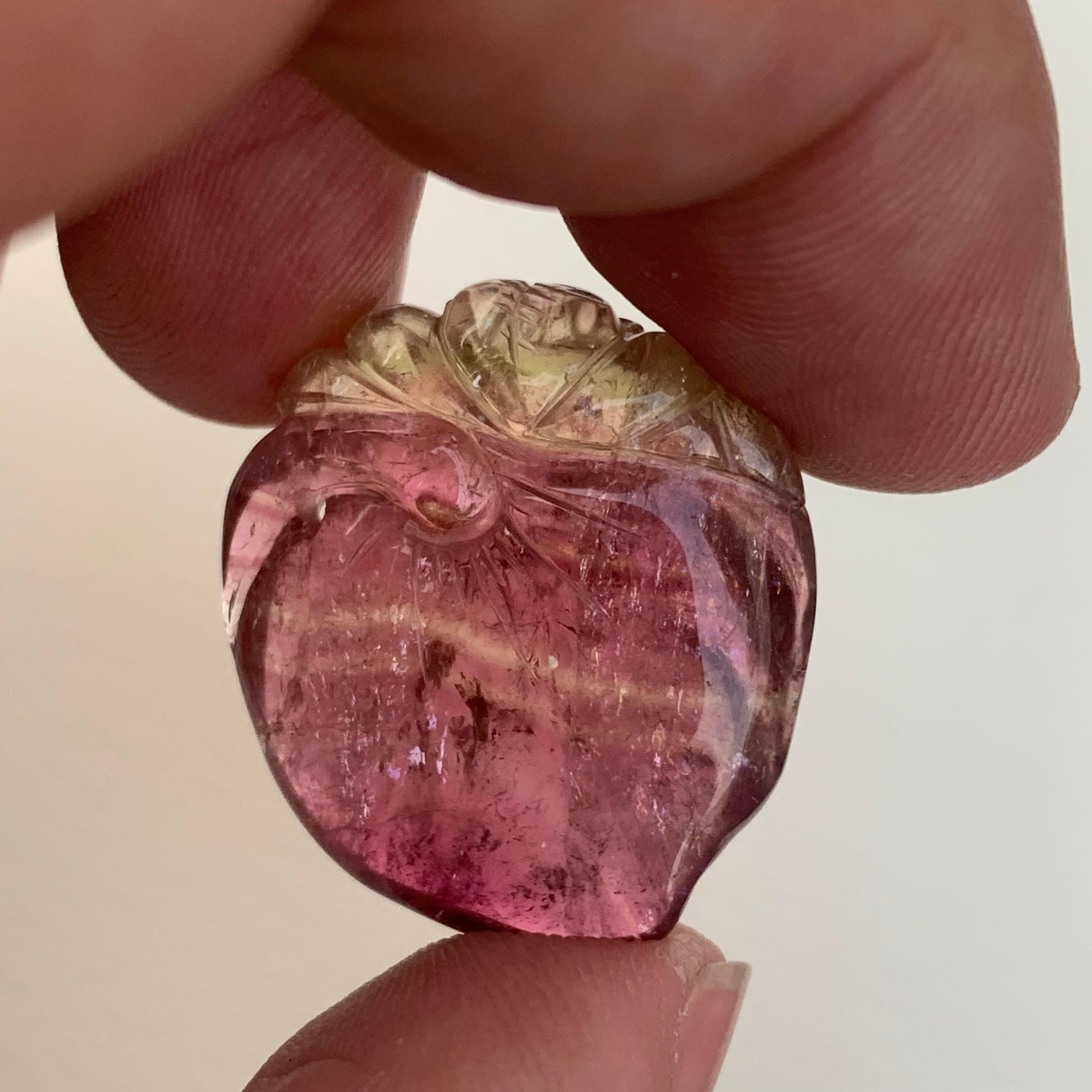 Carved Incredible Loose 31.00 Carat Bi Color Tourmaline Drilled Craving from Africa For Sale