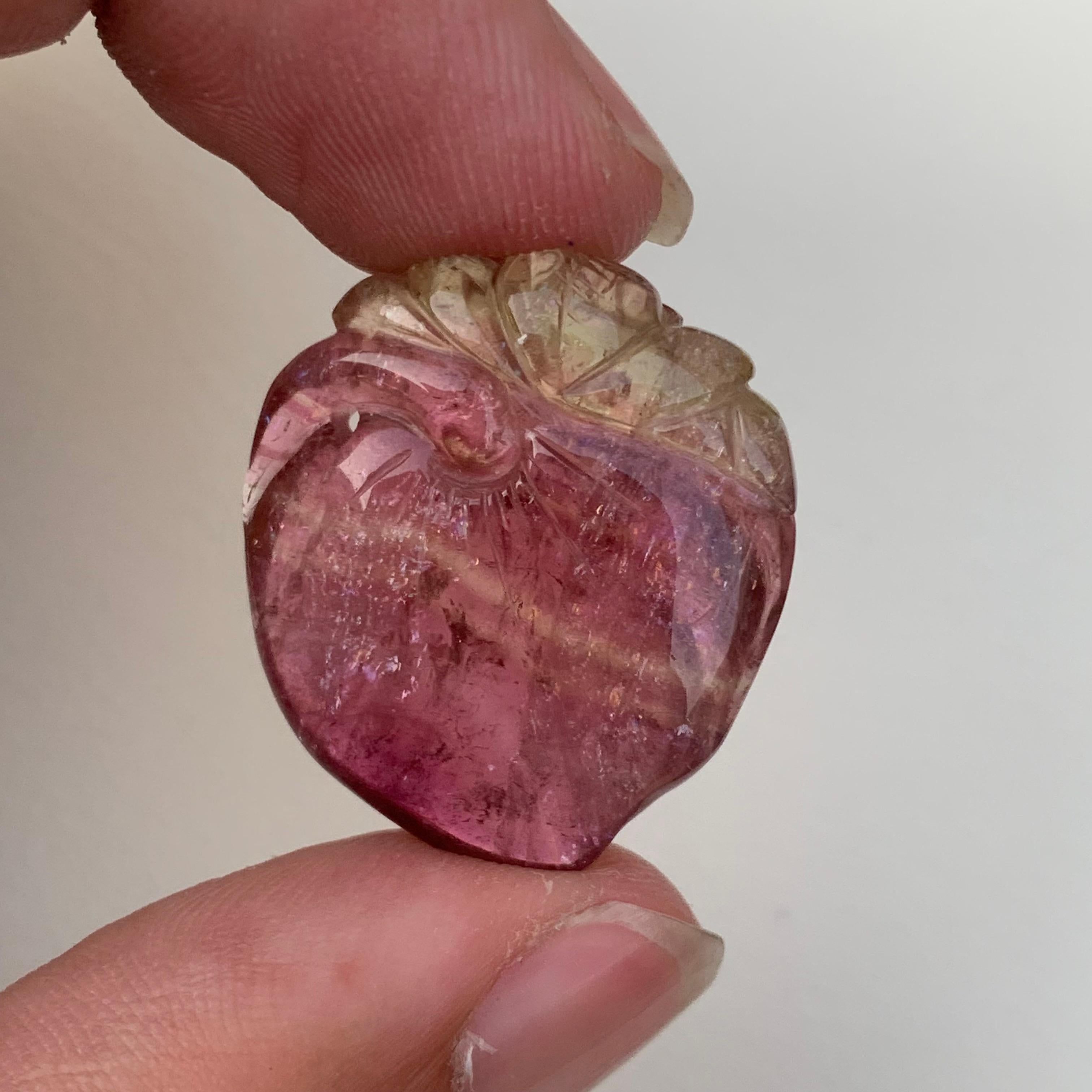 Incredible Loose 31.00 Carat Bi Color Tourmaline Drilled Craving from Africa For Sale 1