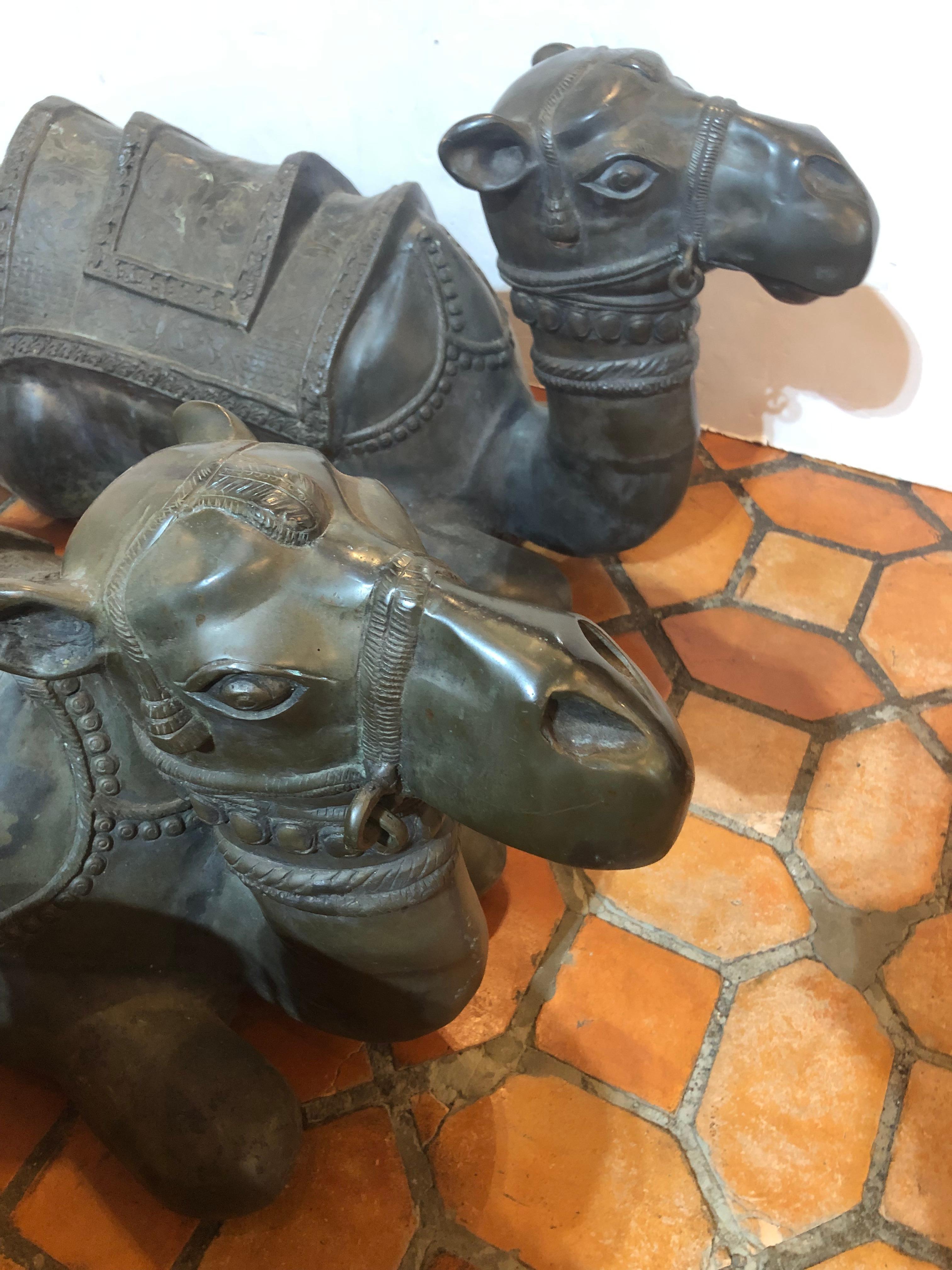 Incredibile coppia di cammelli reclinabili in bronzo fuso in vendita 5