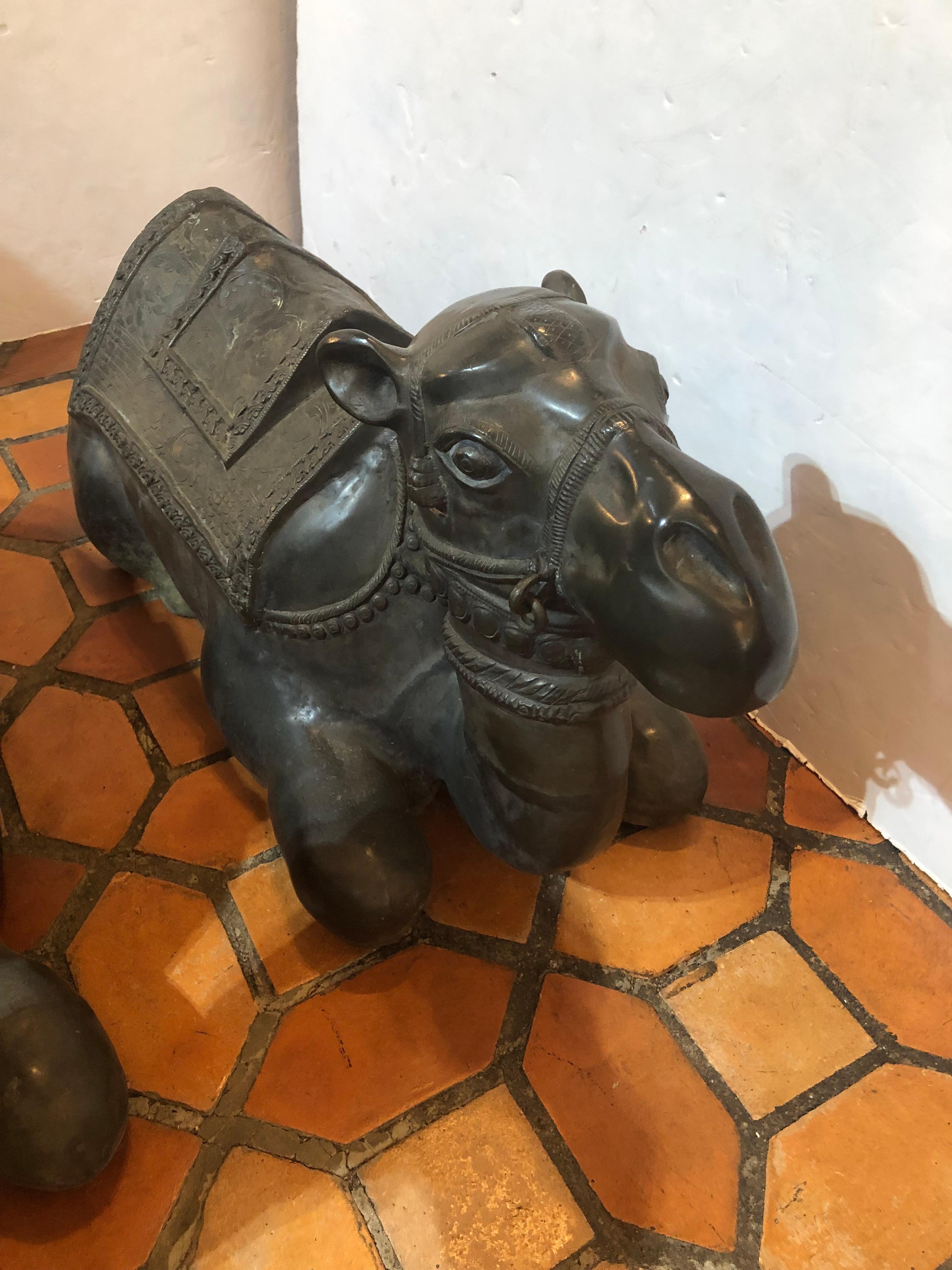 Incredibile coppia di cammelli reclinabili in bronzo fuso in vendita 6