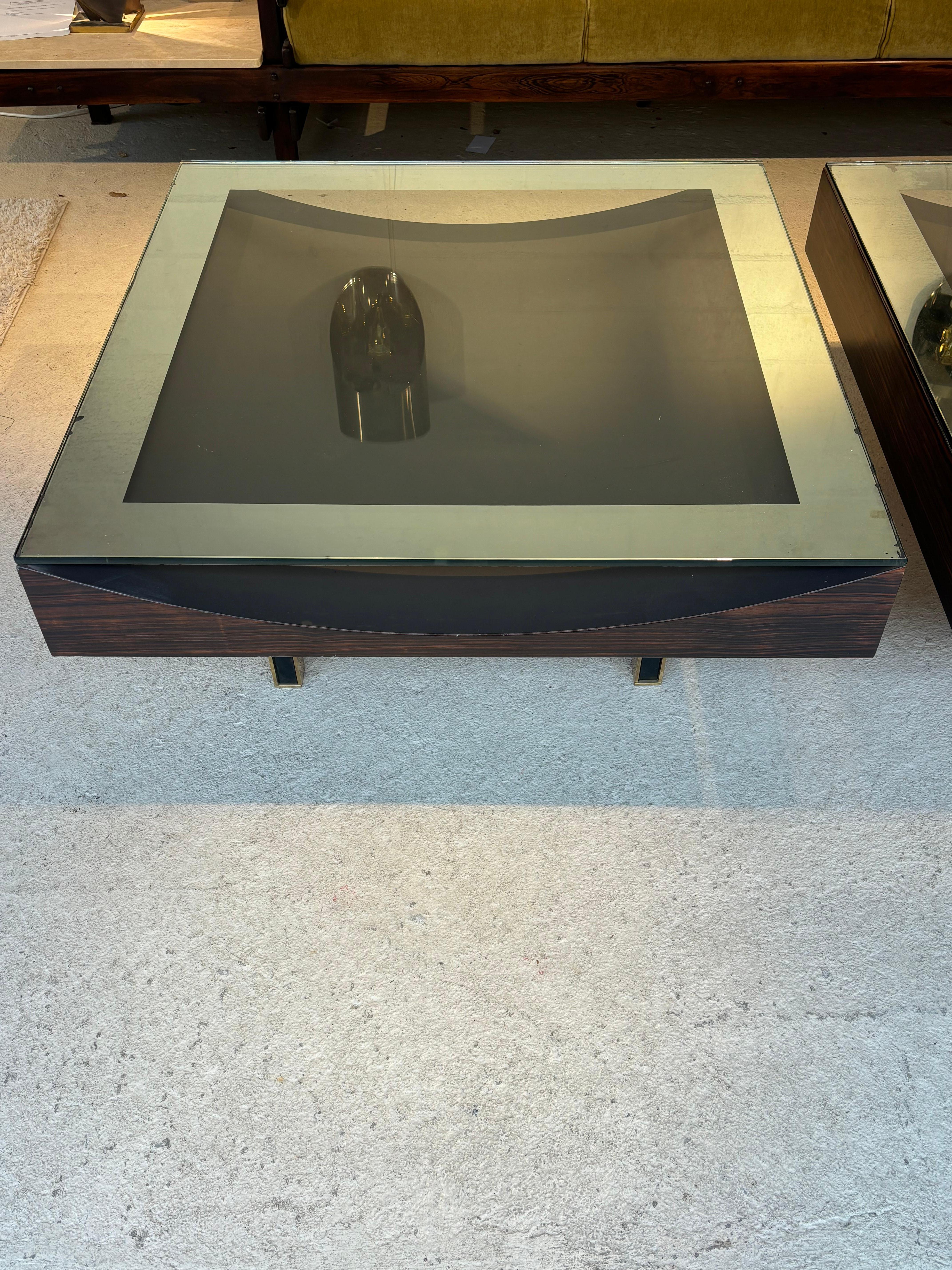 Incredible Pair of unic coffee table For Sale 12