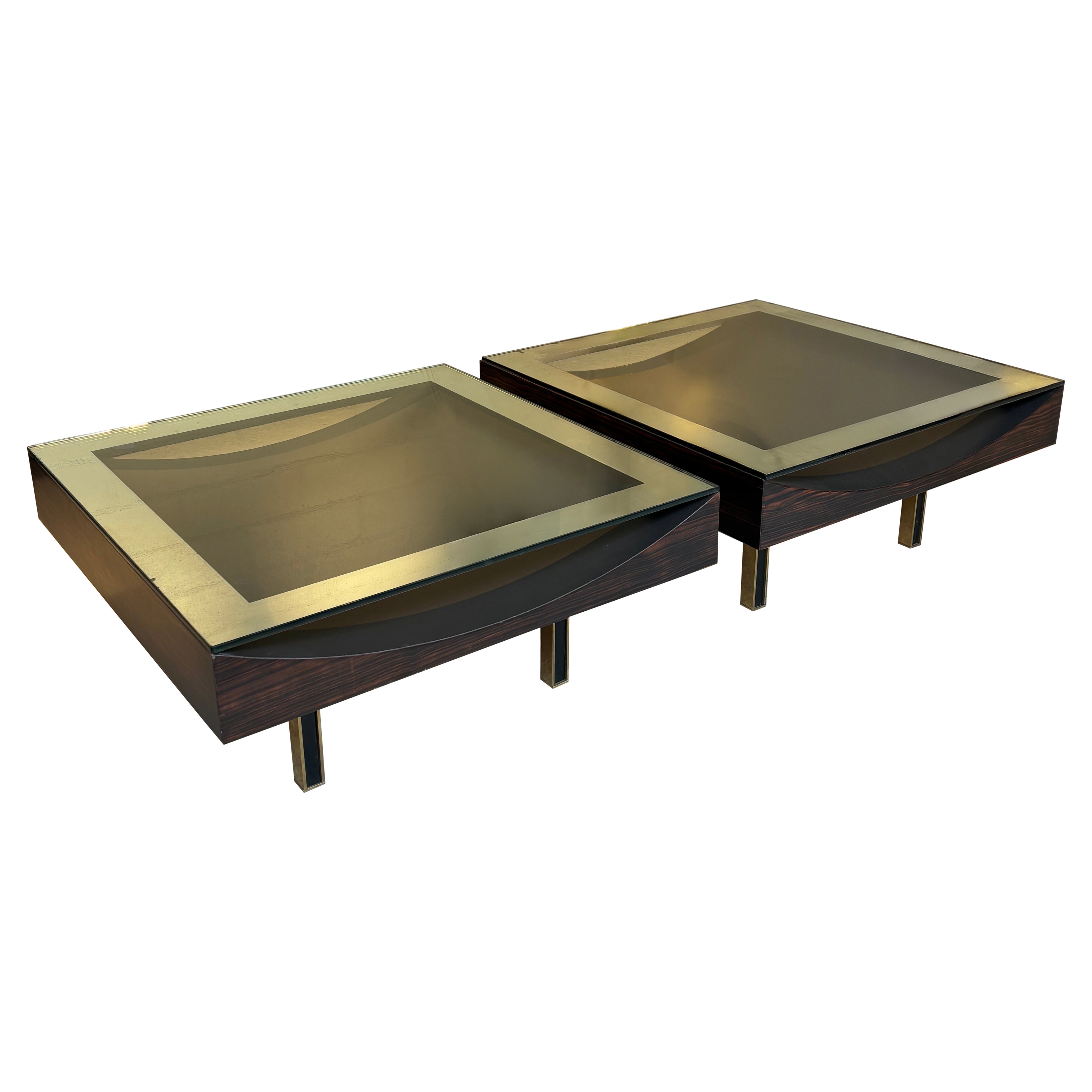 Incredible Pair of unic coffee table For Sale