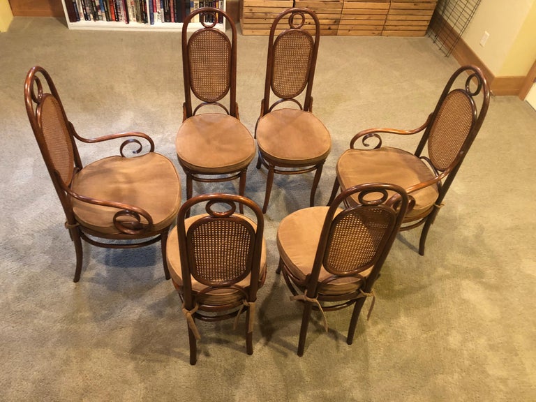19th Century Early Austrian Vienna Thonet Set Chairs No 17 Armchairs  For Sale 6