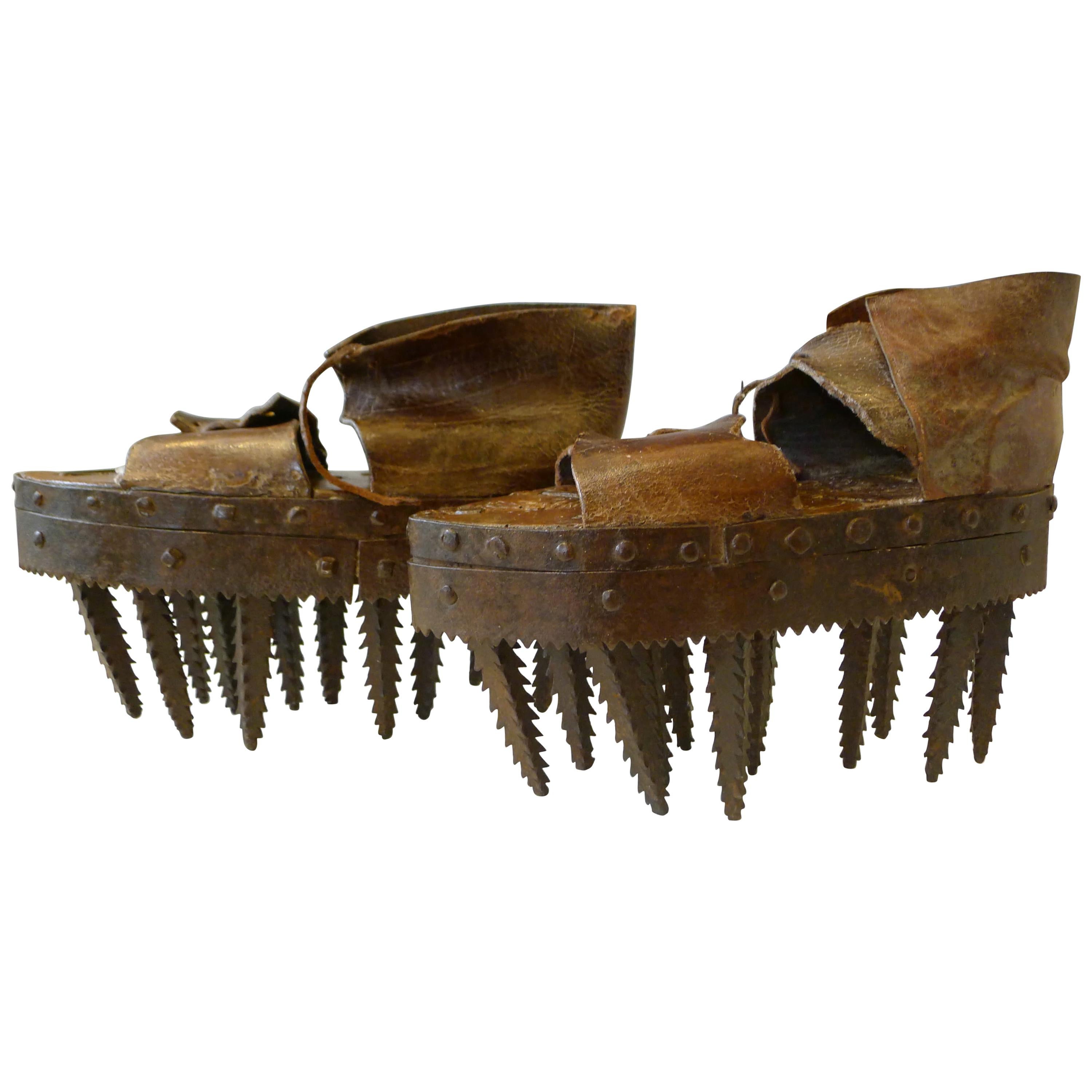 Incredible Shoes to Break Sweet Chestnuts, 19th Century at 1stDibs