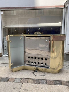 Incredible Bar Counter and Fridge