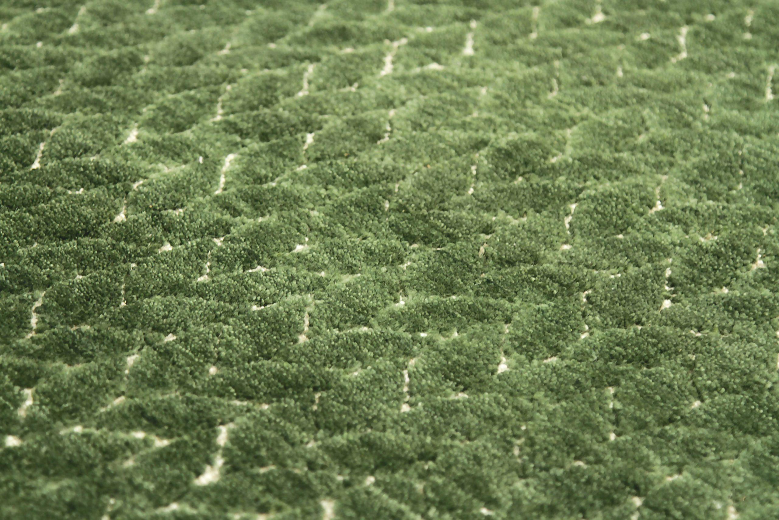 20ième siècle Petit tapis indien Fern datant d'environ 1990, motif vert laine - 90593 en vente