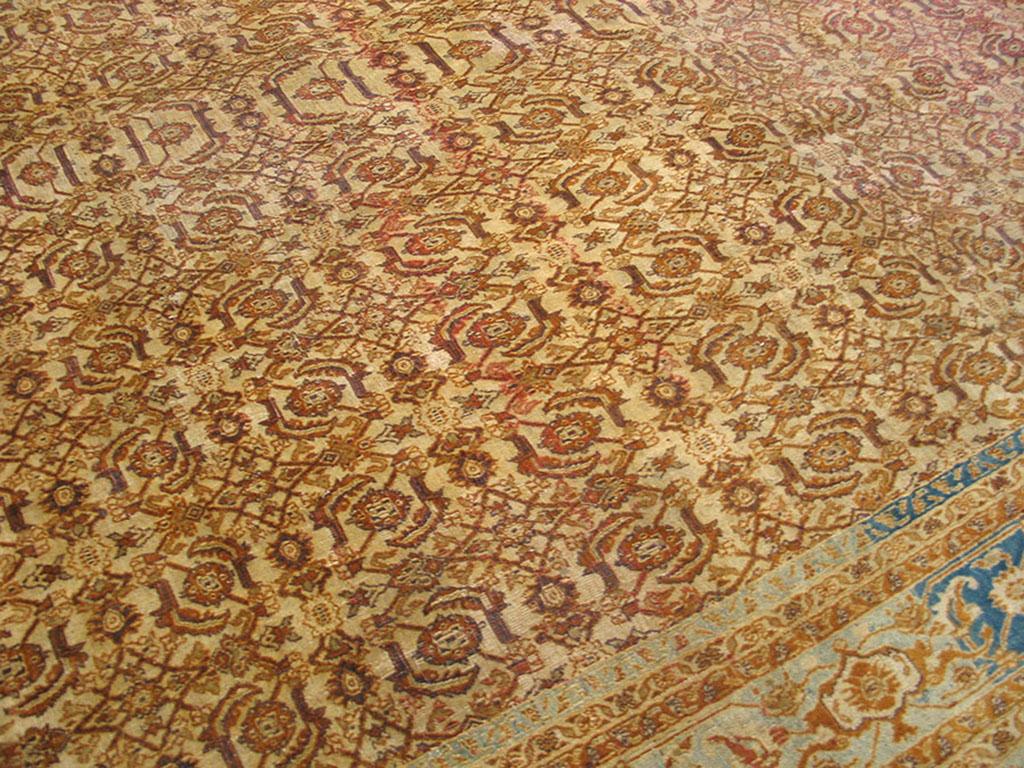 Early 20th Century N. Indian Agra Carpet ( 9' x 11'4