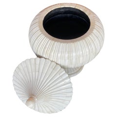 Indian Fluted Shell Scalloped Box
