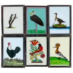 Indian Framed Paintings of Birds, 20th Century