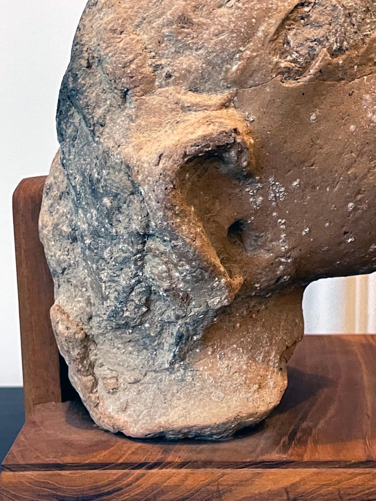 Indian Terracotta Sculpted Head Gupta Period For Sale 1