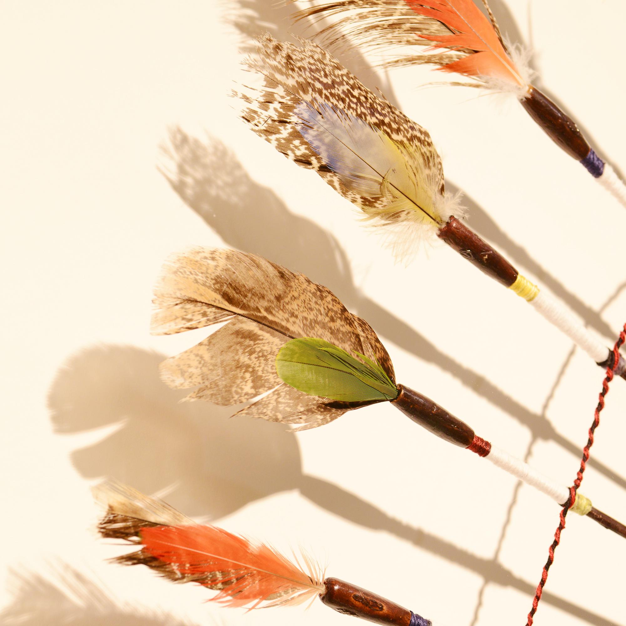 Indian Tribe Headdress under Frame 4