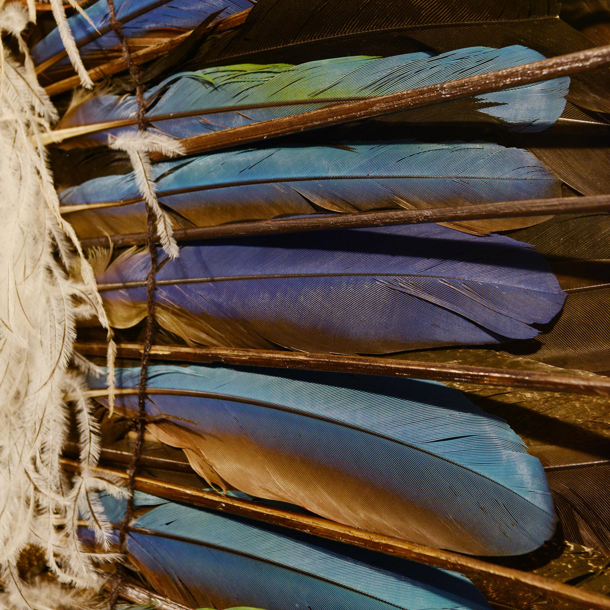 Indian Tribe Headdress under Frame 1