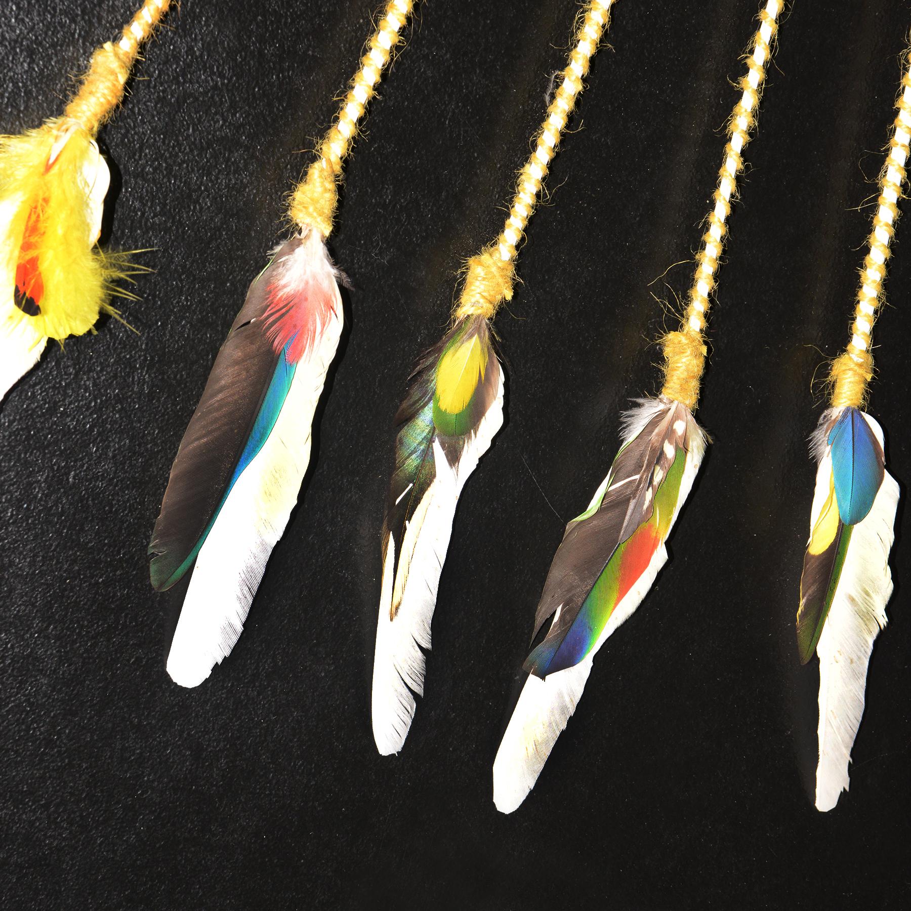 Contemporary Kayapo-Style Headdress With Moulting Feathers For Sale 4