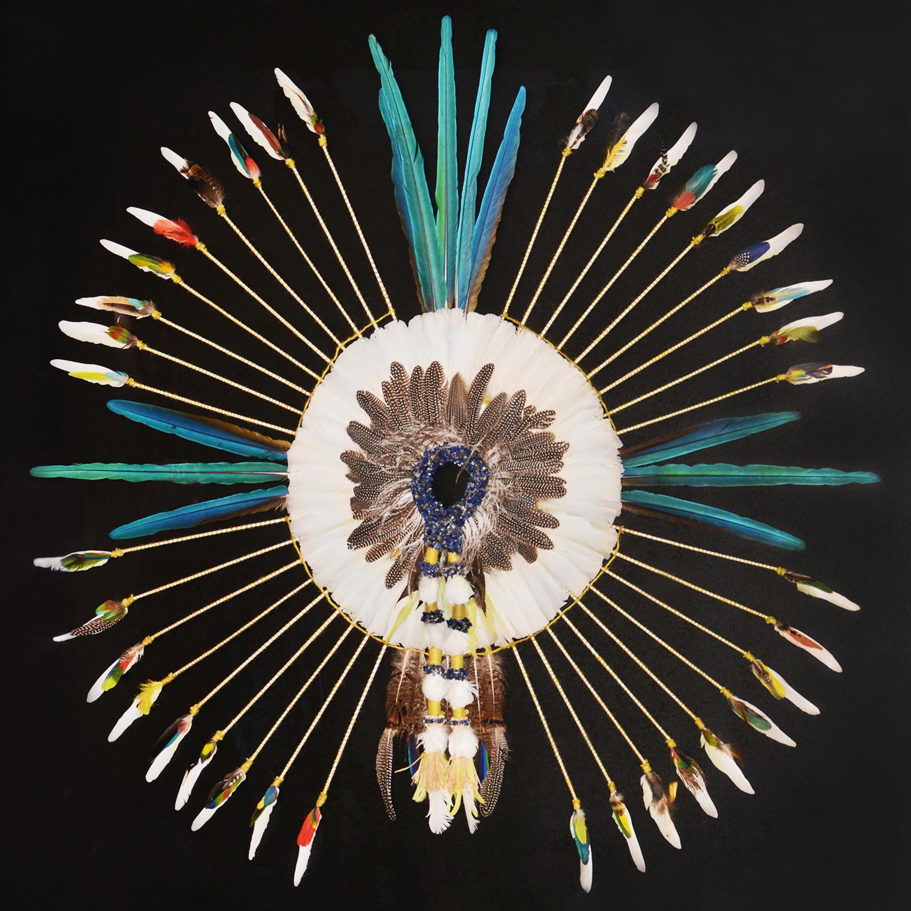 Headdress Indian Tribe Kayapo under frame made of Blue Macaw, 
Blue-fronted Amazon, Rosablin, Triton and Alba cacaotès, Alexander 
parakeet, Demoiselle and Crowned crane, Chinese red rooster and 
Blue peacock. With Lapis lazulli stones and