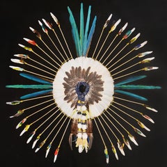Contemporary Kayapo-Style Headdress With Moulting Feathers