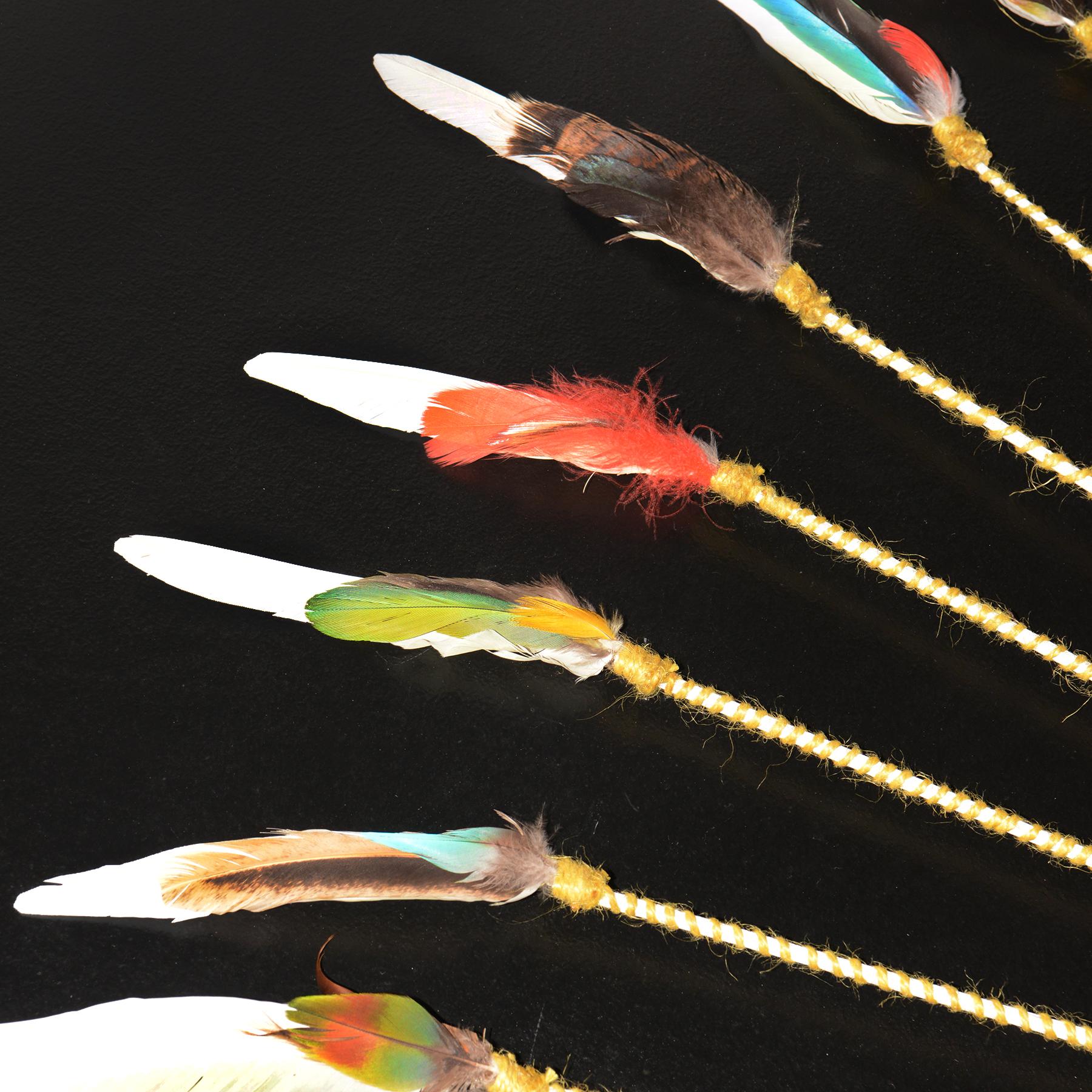 Contemporary Kayapo-Style Headdress With Moulting Feathers For Sale 2