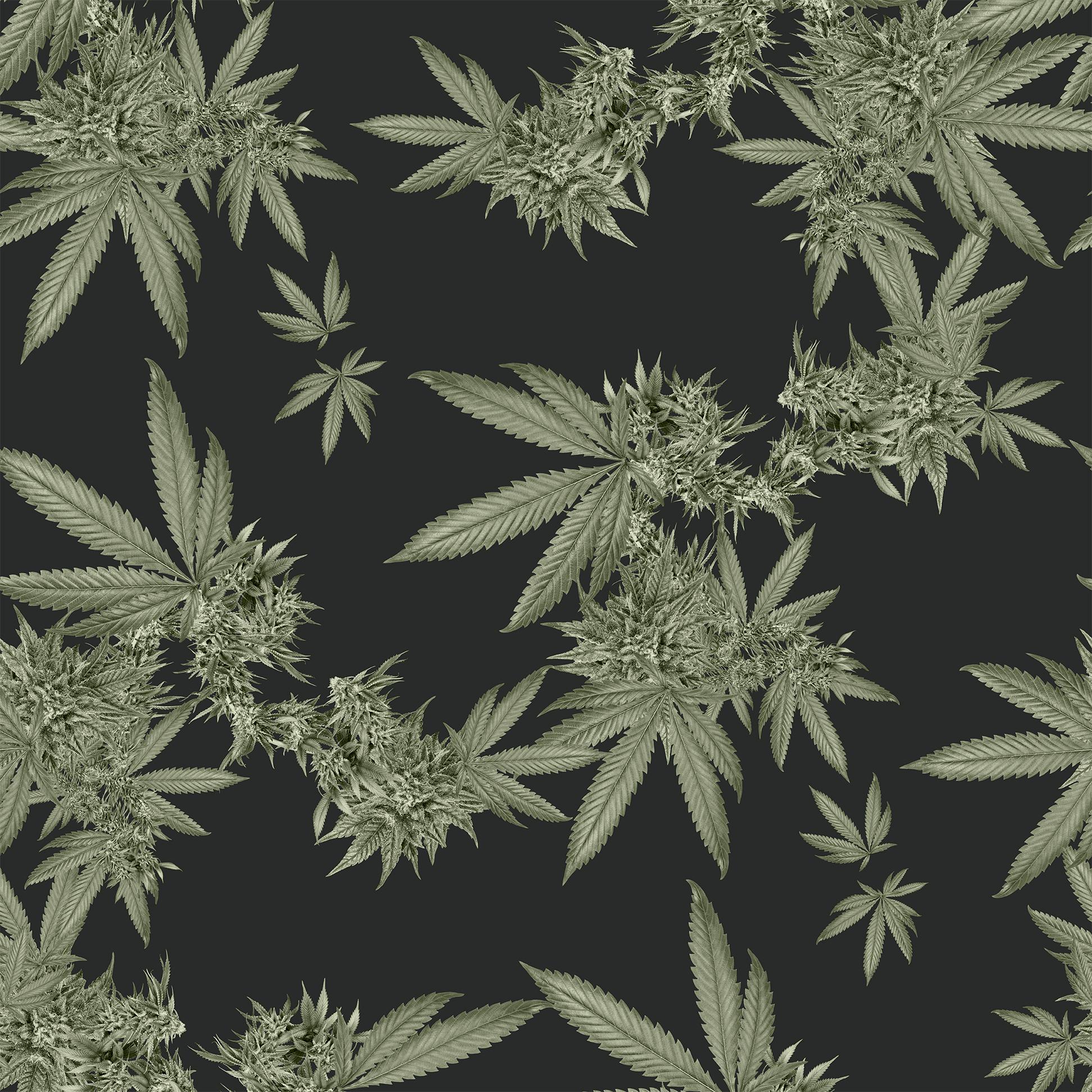 indica wallpaper