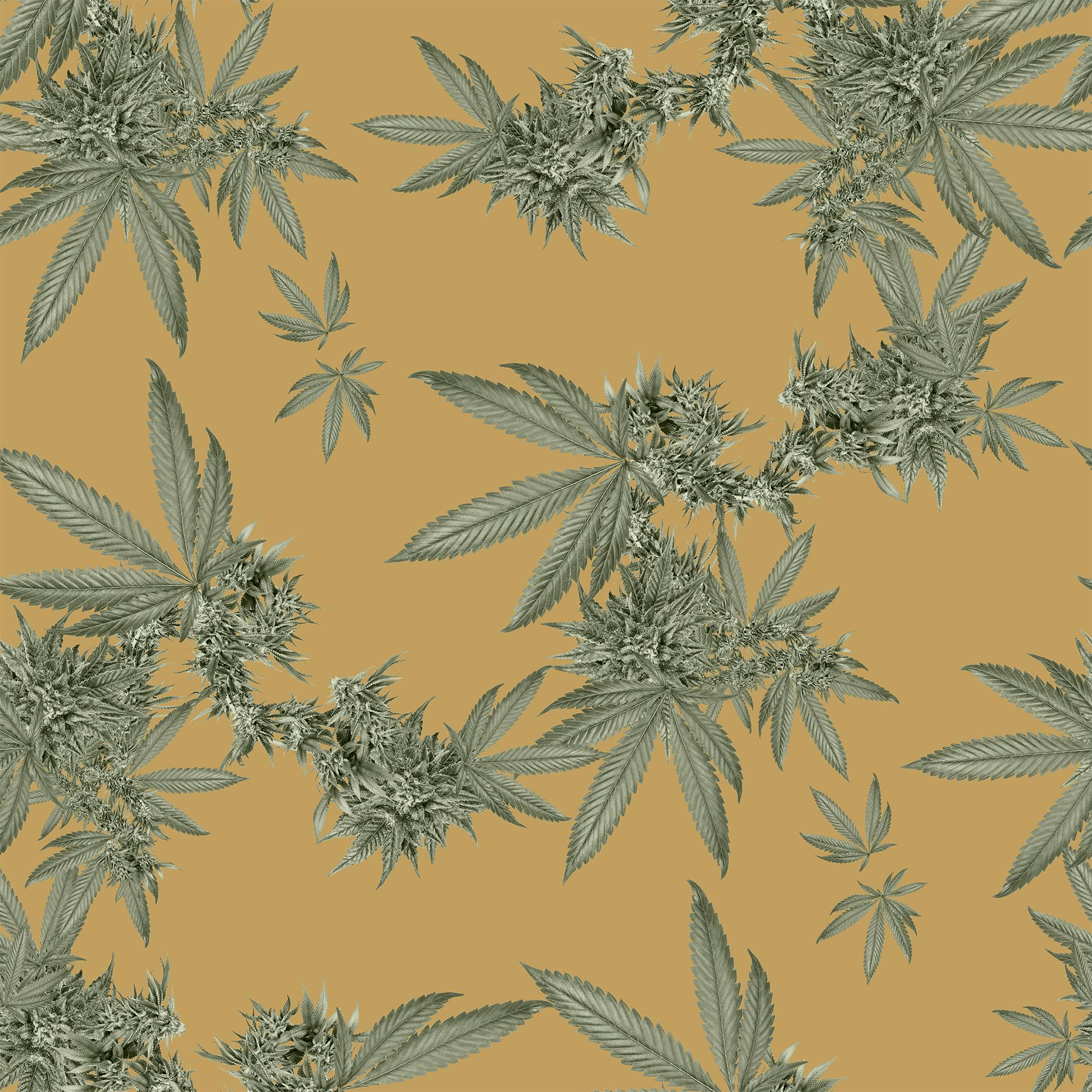 Indica Floral Wallpaper In New Condition For Sale In New York, NY, NY