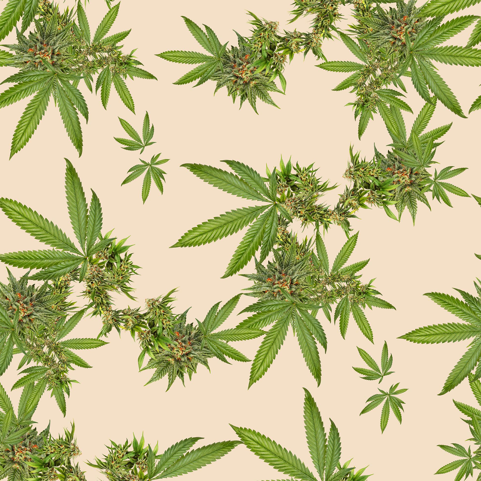 Paper Indica Floral Wallpaper For Sale