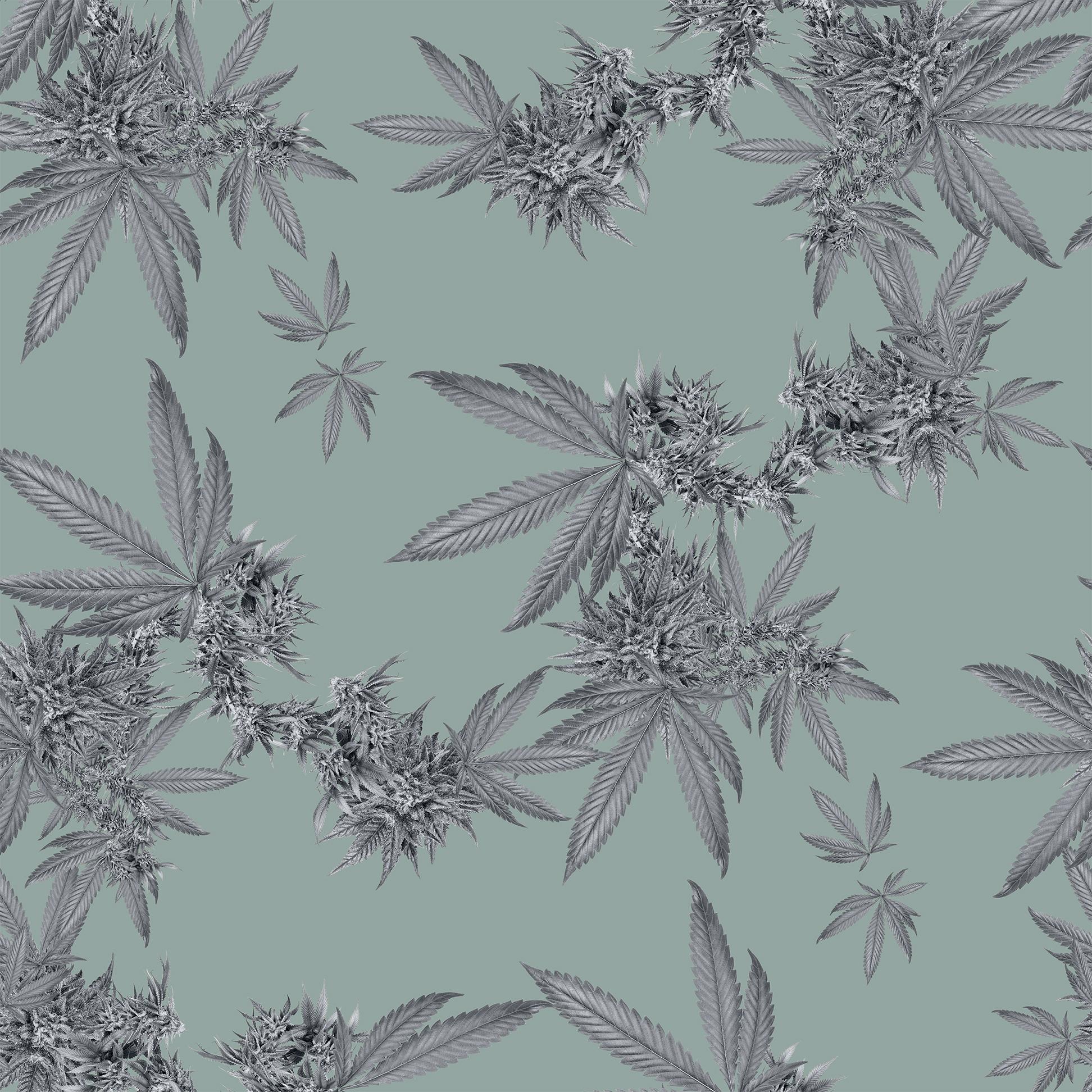 Indica Floral Wallpaper For Sale 1