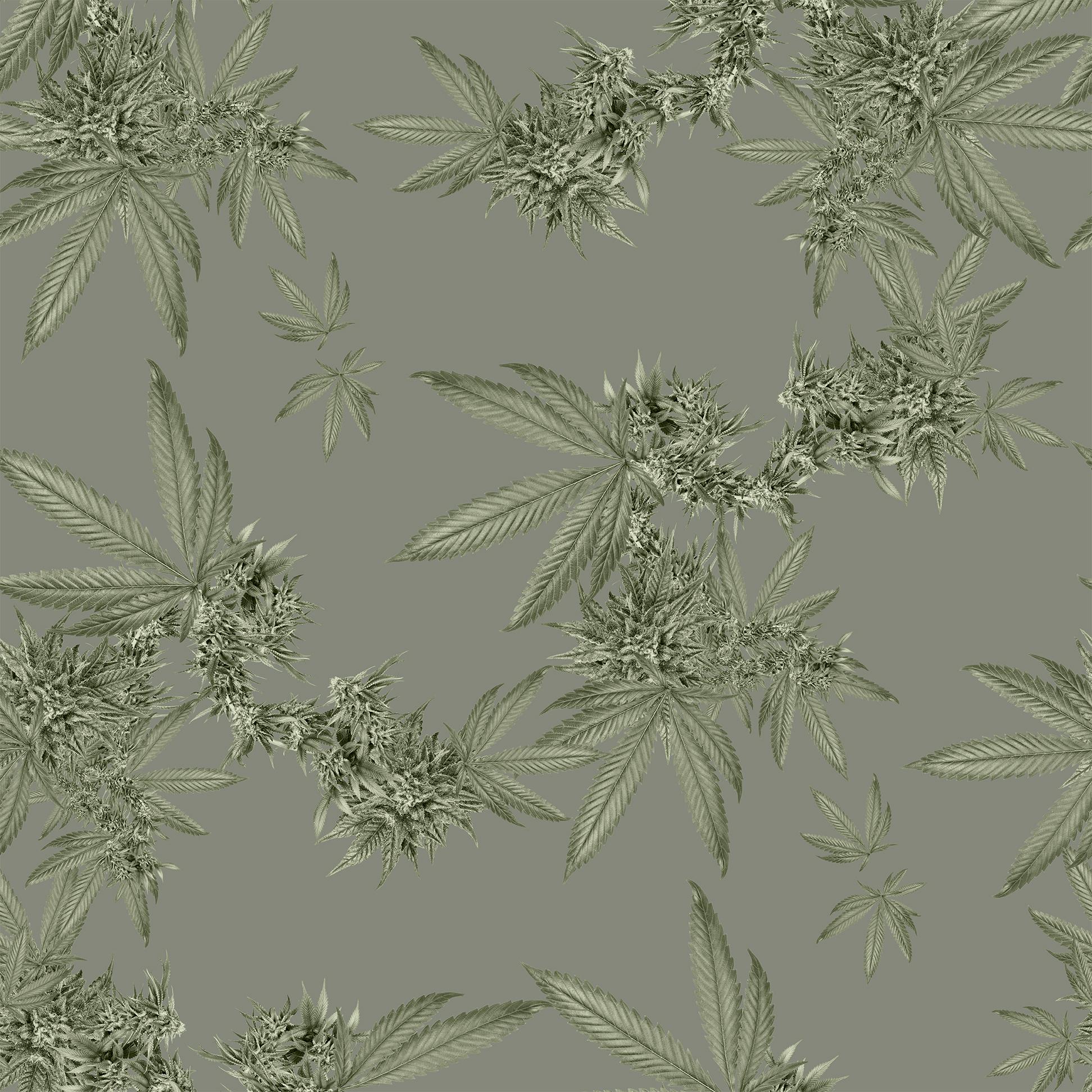 Indica Floral Wallpaper For Sale 2