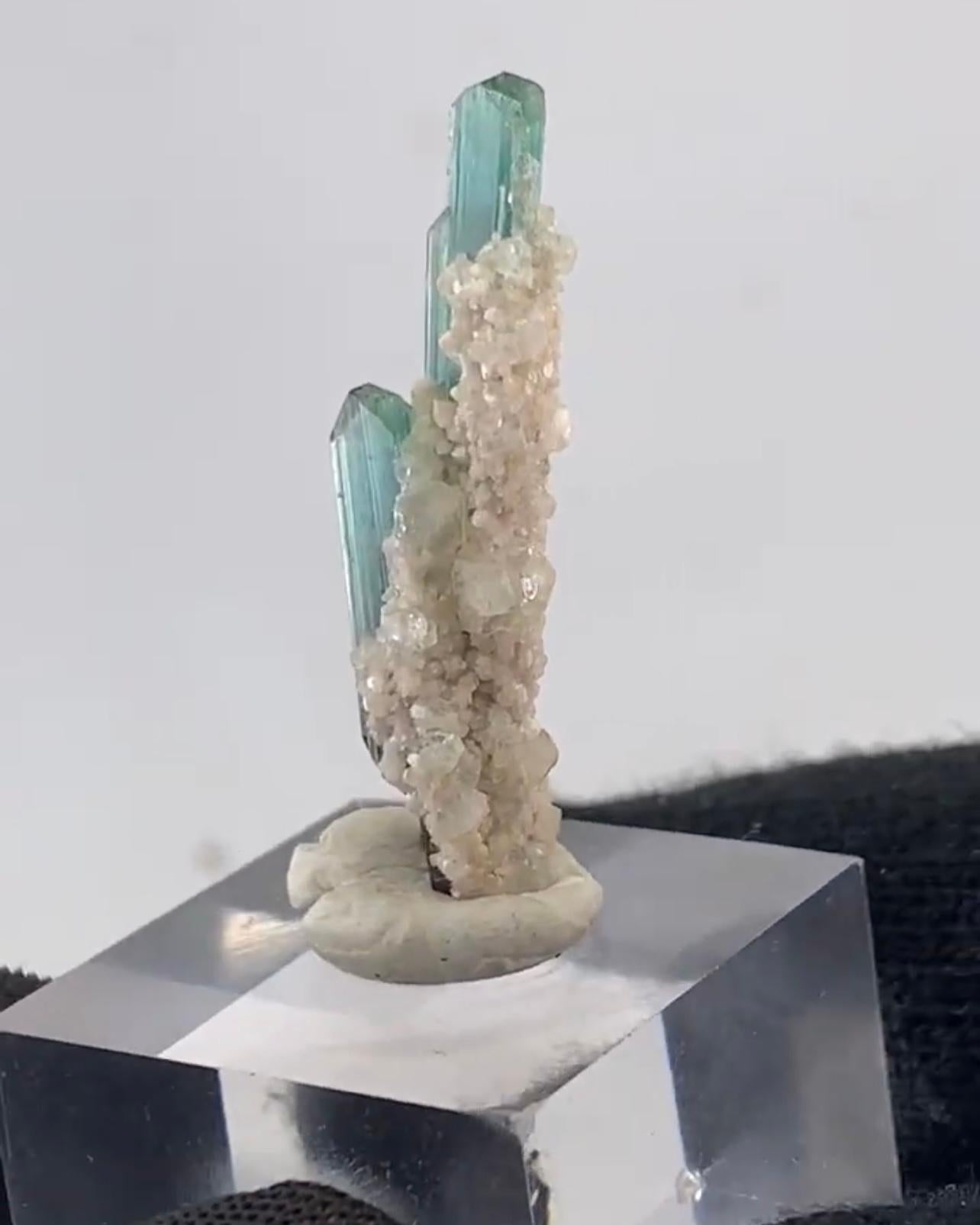 Product Information:

Specimen Name: Tourmaline crystals with Albite matrix 

Weight: 3.5 grams

Dimensions: H: 3.7 x W: 1 x D: 0.7 cm 

Treatment: None

Origin: Kunnar Province, Afghanistan 

Description:

Tourmaline is an extremely popular