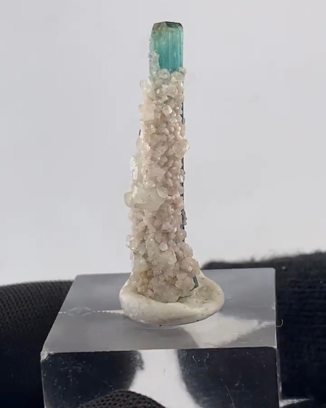 Indicolite Tourmaline Crystals With White Albite Matrix From Afghanistan In Good Condition For Sale In Peshawar, PK
