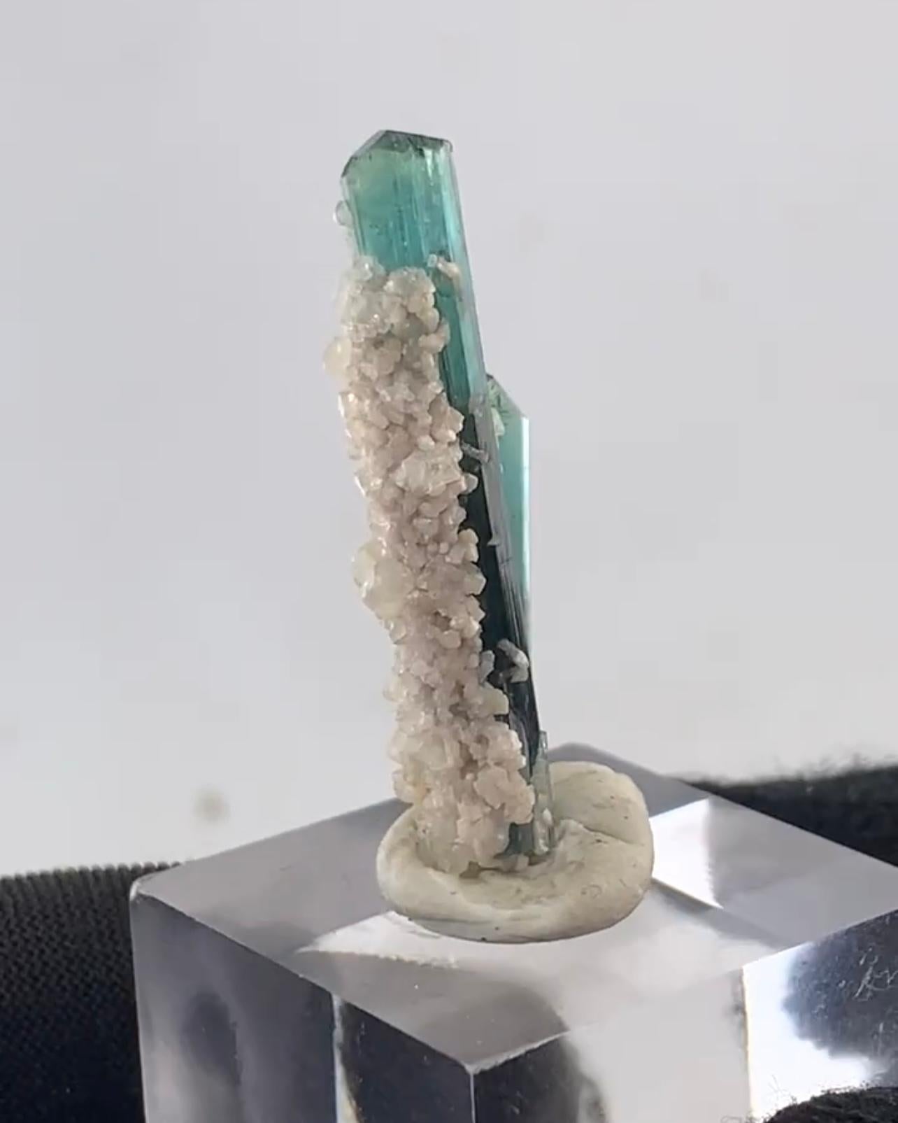 Indicolite Tourmaline Crystals With White Albite Matrix From Afghanistan For Sale 1