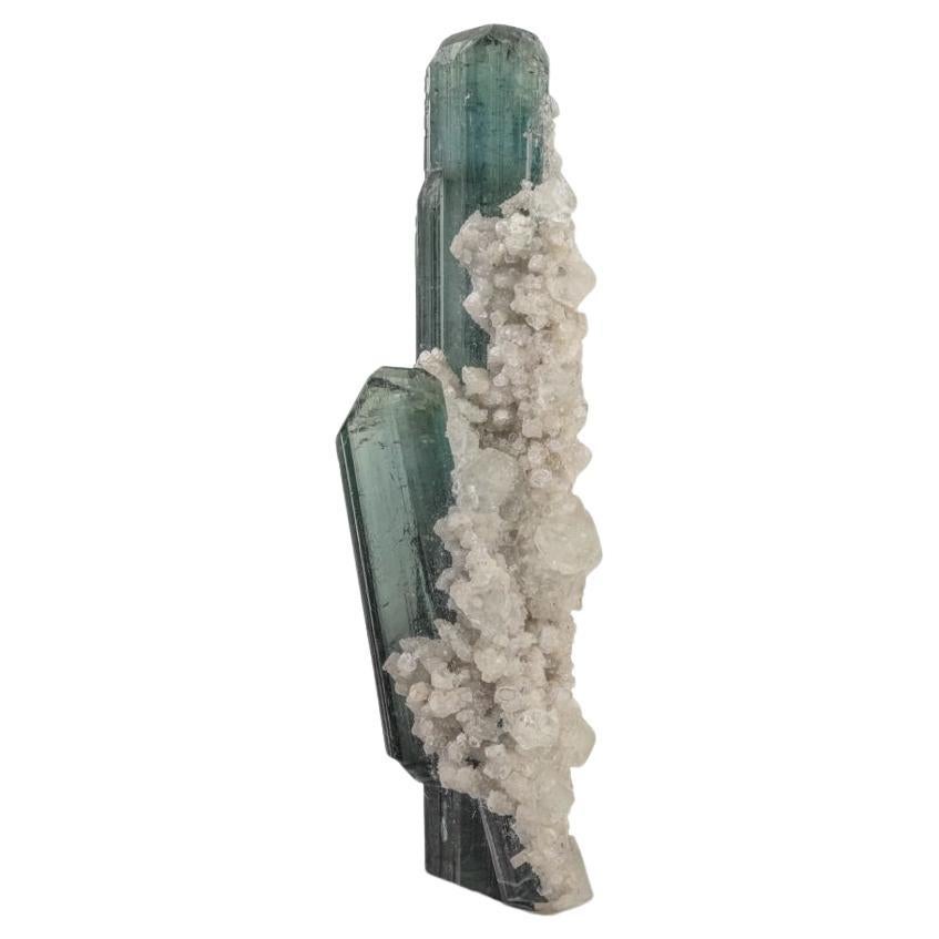 Cristales de turmalina indicolita con matriz de albita blanca procedentes de Afganistán