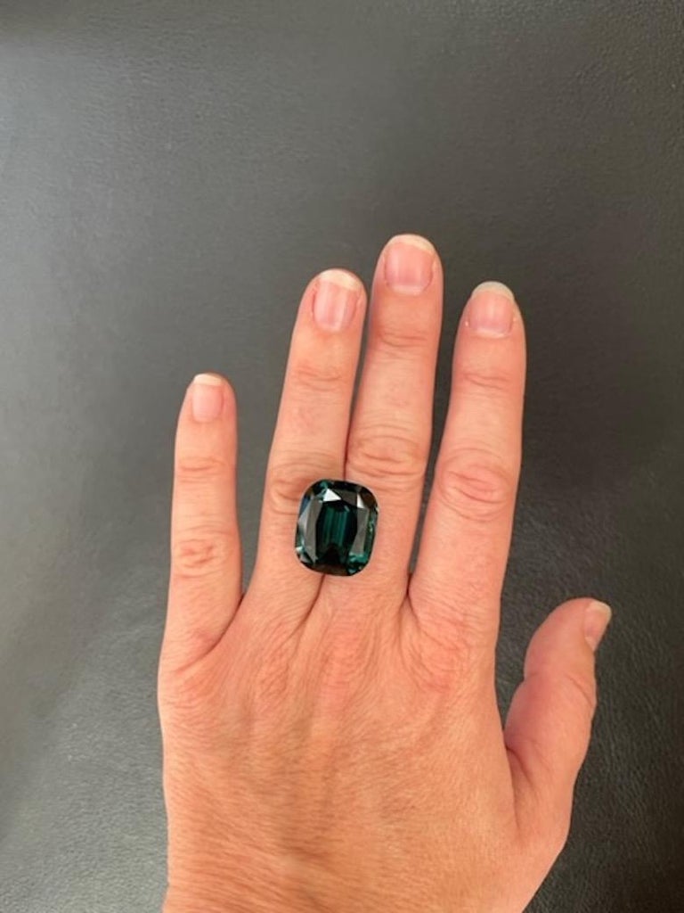 Exceptional 28.05 carat exotic Indicolite Tourmaline gem, offered unmounted to a fine gemstone collector.
Dimensions: 19.70mm x 16.60mm x 11.10mm.
Returns are accepted and paid by us within 7 days of delivery.
We offer supreme custom jewelry work