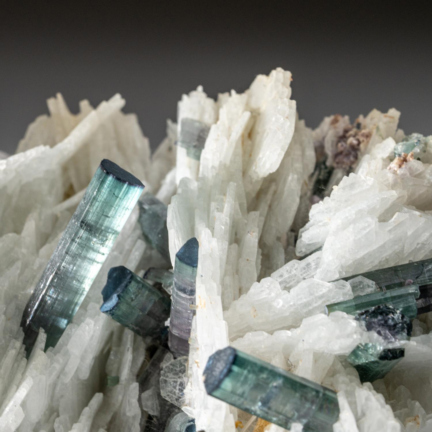From Skardu Area, Baltistan, Gilgit-Baltistan, Pakistan
 
Rare unusual radial crystal formation of gem transparent indicolite var. blue tourmaline crystals with blades of white albite. The tourmaline has rich blue color throughout with lustrous