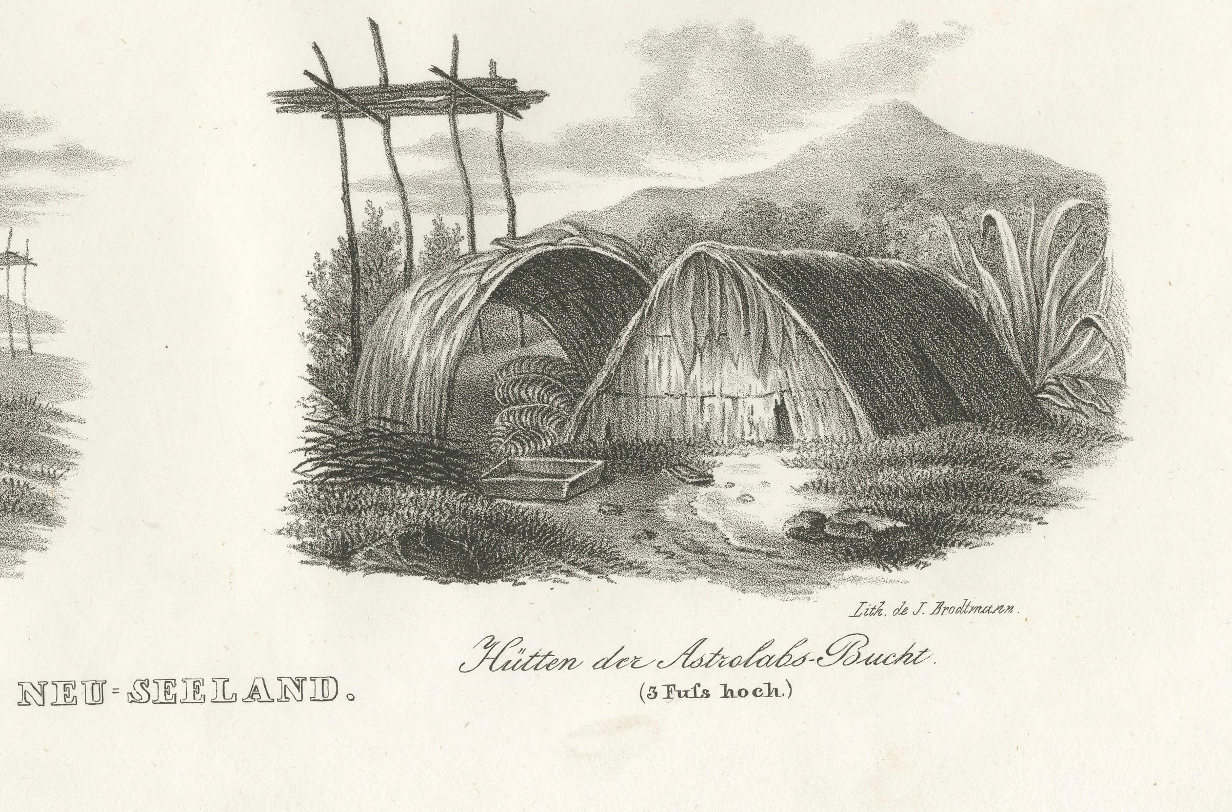 Metà XIX secolo Abitazioni indigene della Nuova Olanda e della Nuova Zelanda incise nel 1836 in vendita