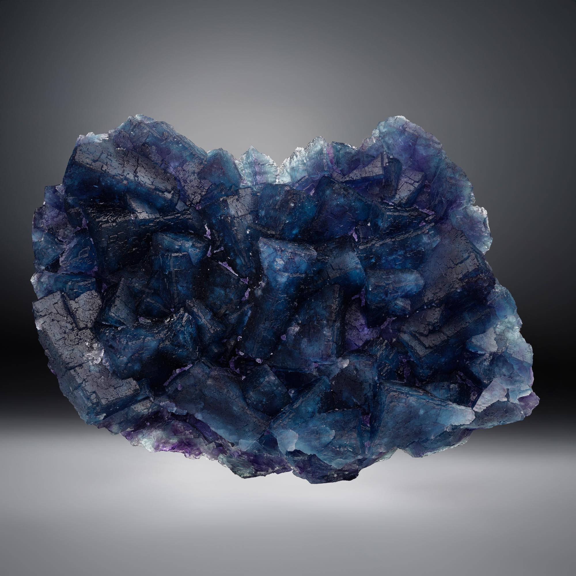 This large cabinet size Fluorite cluster from China displays a dramatic interplay of color, shifting from midnight indigo to violet as light passes across its sharply defined cubic faces.

Collectors celebrate Chinese Fluorite for its size,
