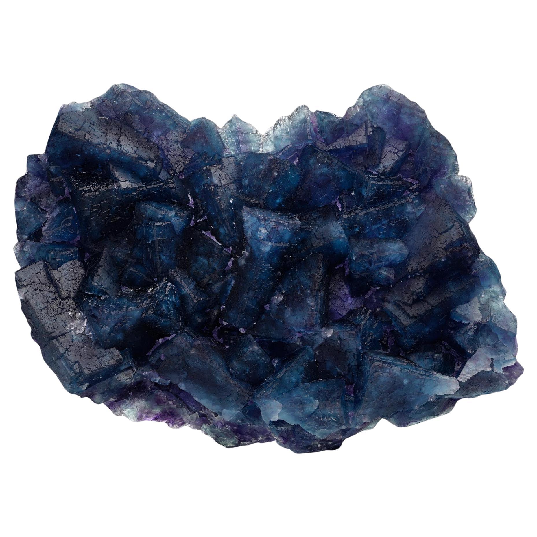 New And Custom Natural Specimens