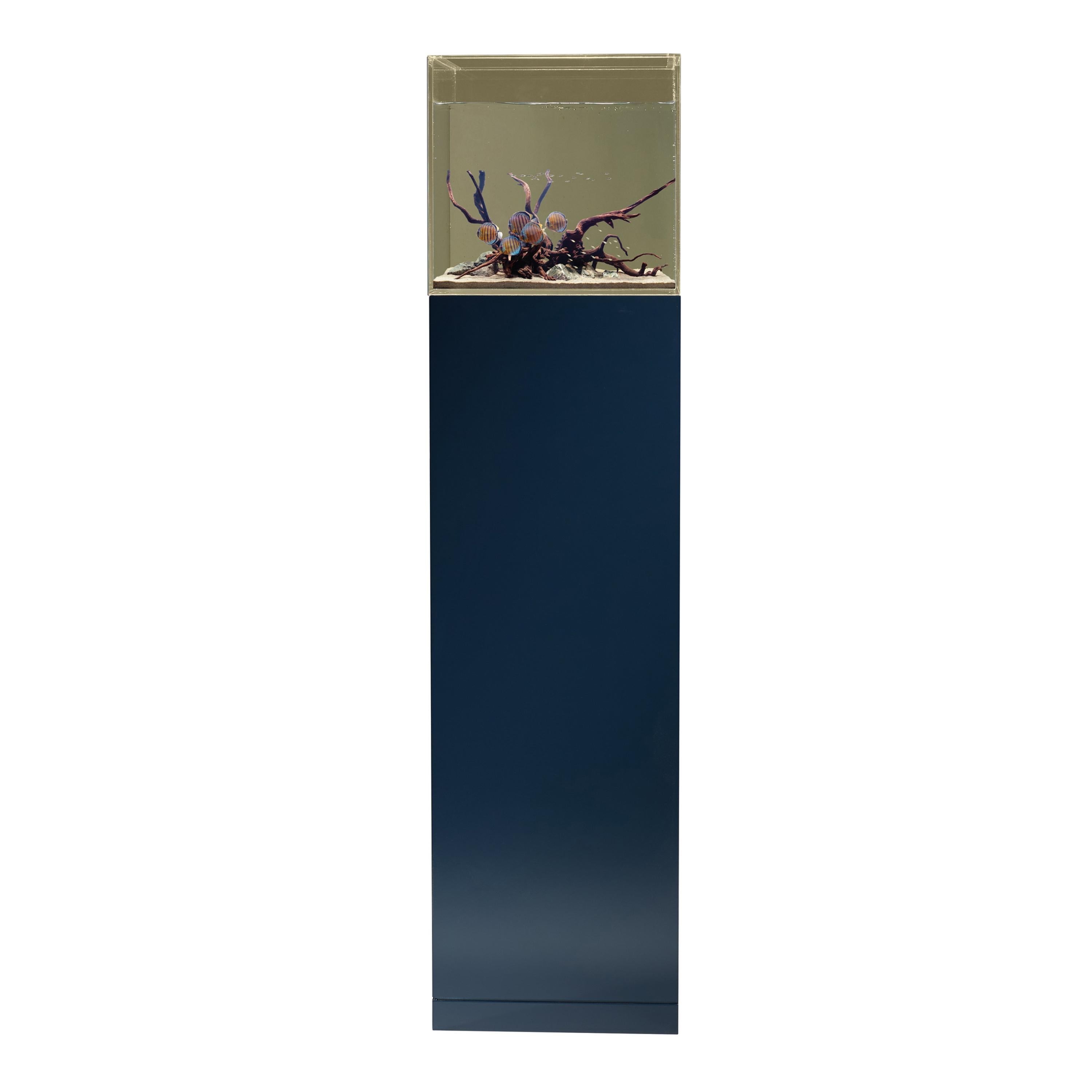 Supporto per acquario o vasca per pesci contemporaneo e personalizzabile Indigo in vendita