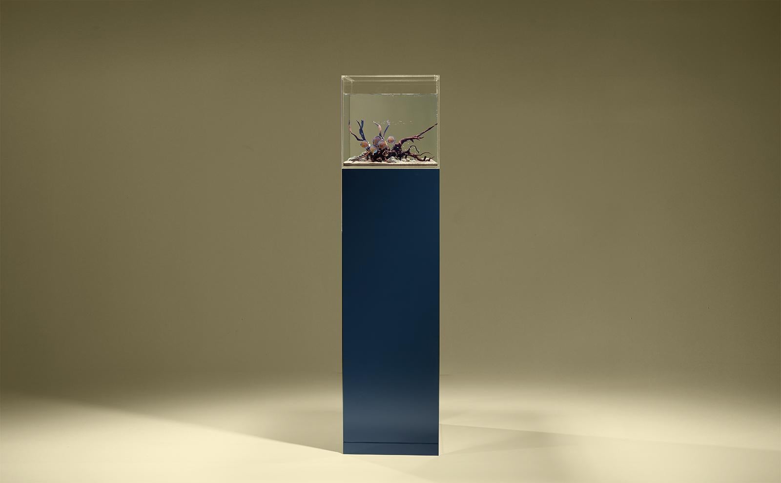 Indigo fish tank or aquarium stand, all lacquered and with pearl finishing.
 
Bespoke / Customizable
Identical shapes with different sizes and finishings.
All RAL colors available. (Mate / Half Gloss / Gloss)