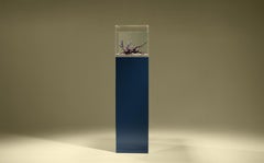 Indigo Contemporary and Customizable Fish Tank or Aquarium Stand