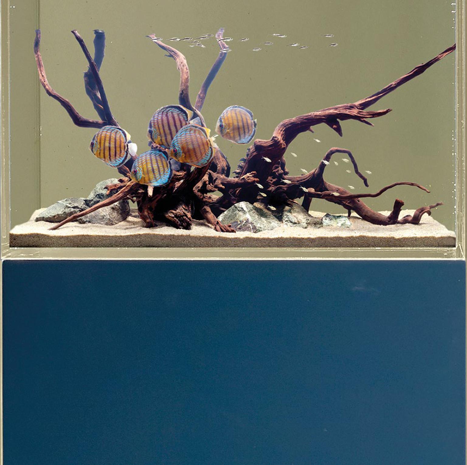 Soporte para pecera o acuario Indigo Contemporáneo y Personalizable en venta 2
