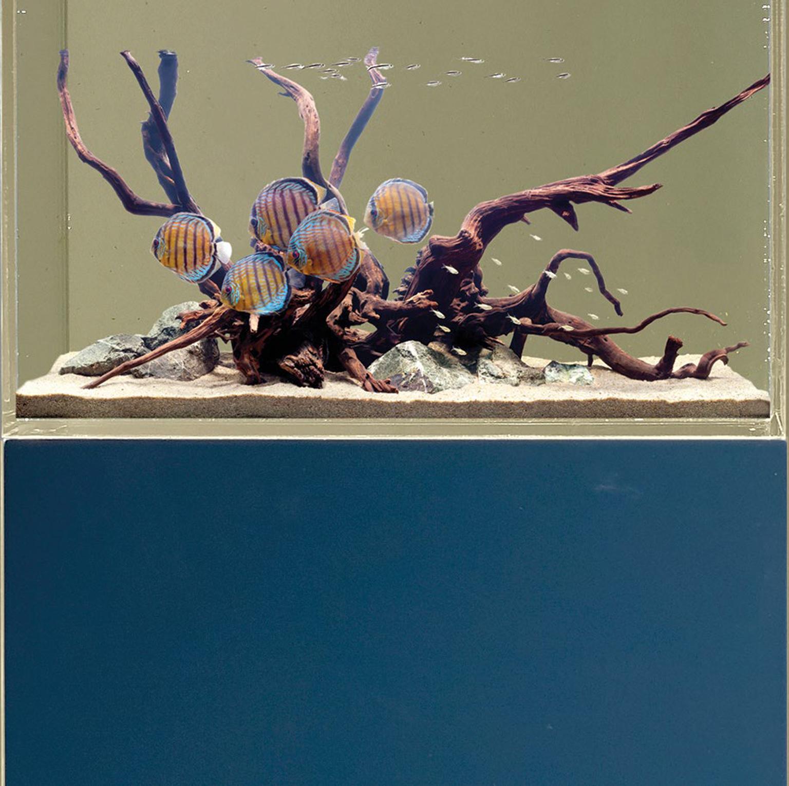 Indigo Contemporary and Customizable Fish Tank or Aquarium Stand  For Sale 1