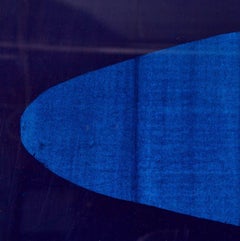 Indigo Pilot