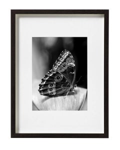 "Self Portrait as a Butterfly No 1" Photography, Archival Photographic Print