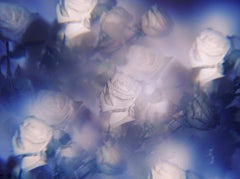 Photographic Paper Still-life Photography