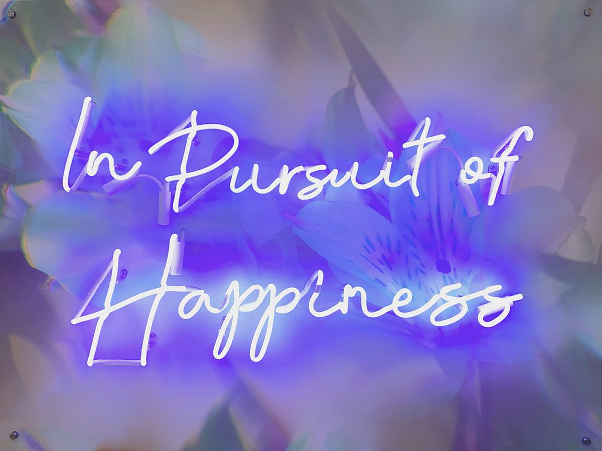 "In Pursuit of Happiness" Mixed Media Sculpture, Neon Glass, Archival Photograph