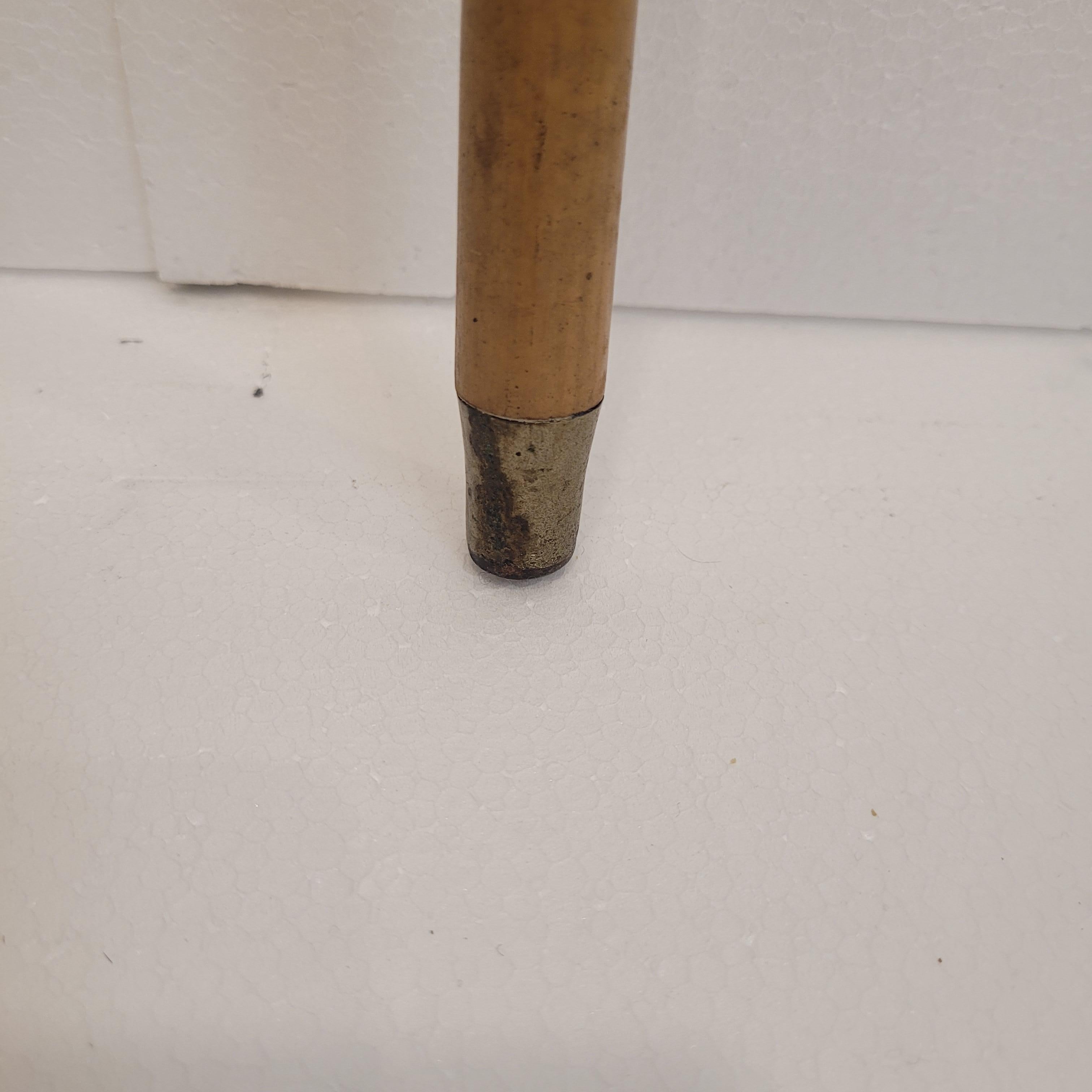 Late 19th Century Indochina  Walking stick , Baston, Silver Wood and Antler For Sale