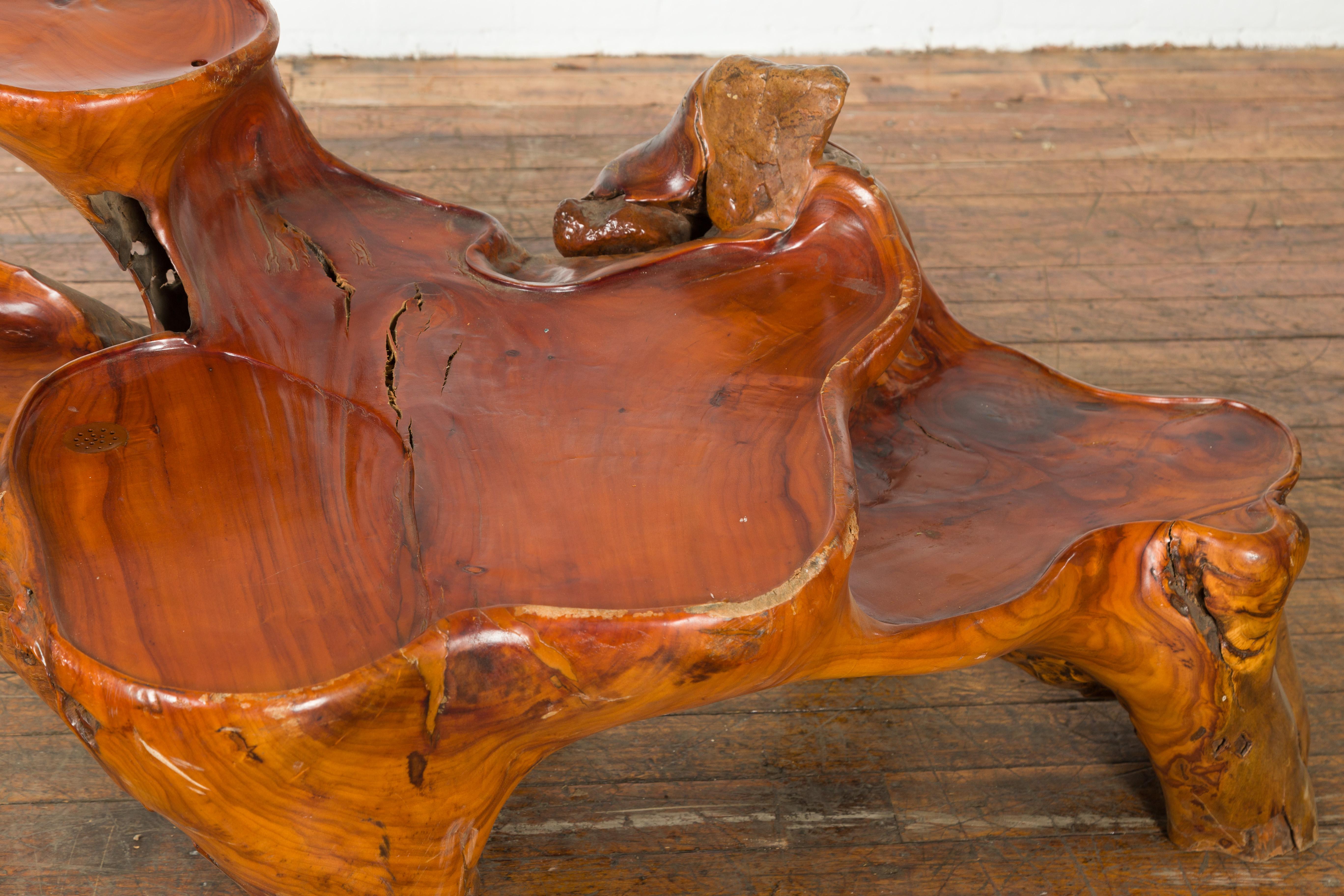 Soporte lacado para esculturas de raíz con superficies de exposición escalonadas y pátina cálida Lacado en venta