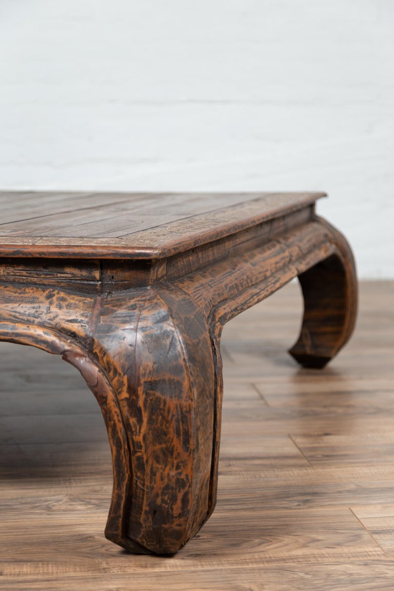 Indonesian Antique Coffee Table with Bulging Chow Legs and Distressed