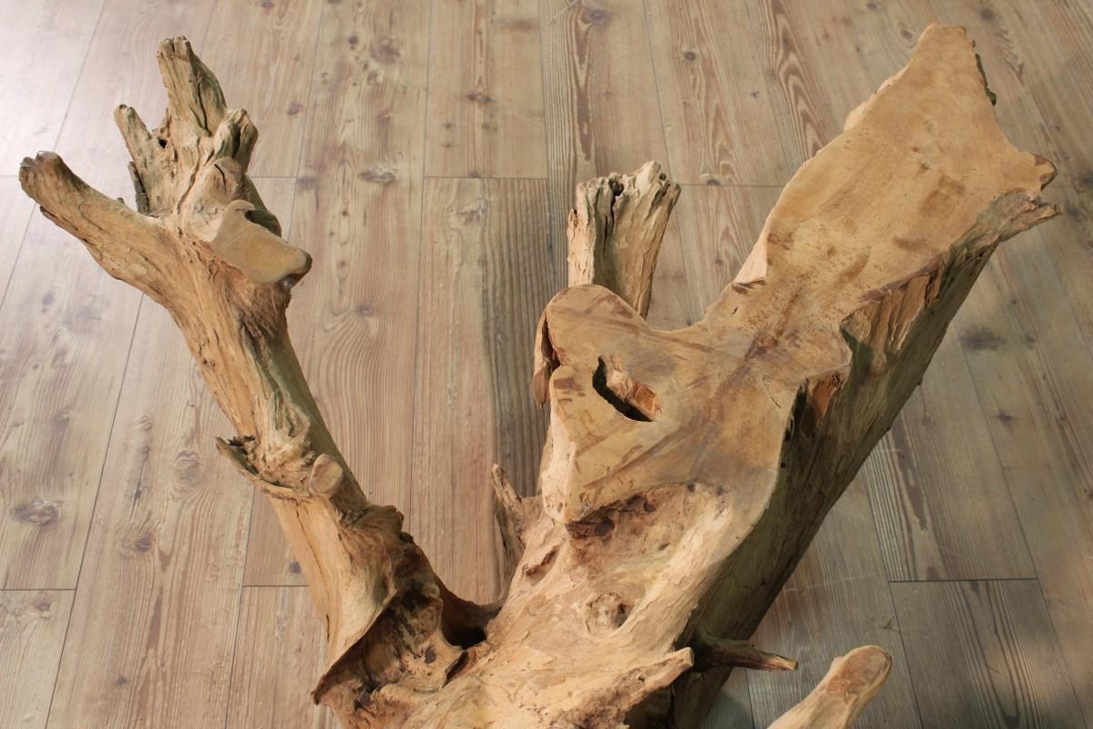 Indonesian Base for Table in Mangrove Root, 20th Century For Sale 5