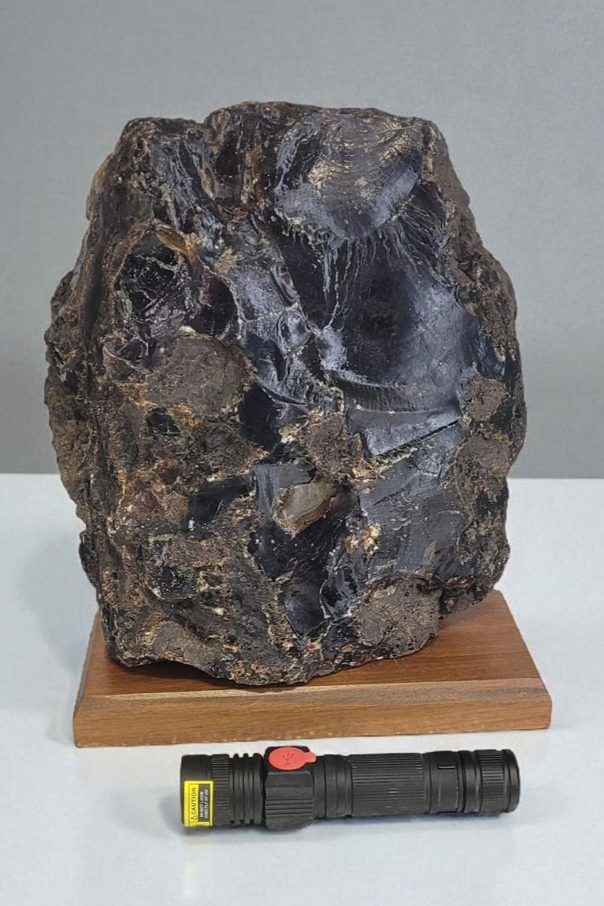 This is a chunk of natural blue amber from Indonesia. Under common light it is brown / dark brown  to transluscent depending the thickness, but under ultraviolet light, it becomes blue and lose it's transparency. 

This is due to U.V reactive