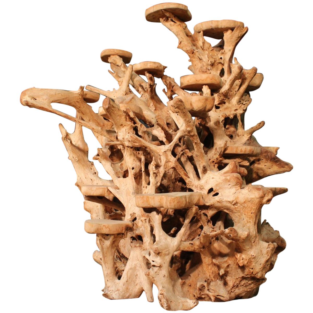 Indonesian Mangrove Root Planter, 20th Century For Sale